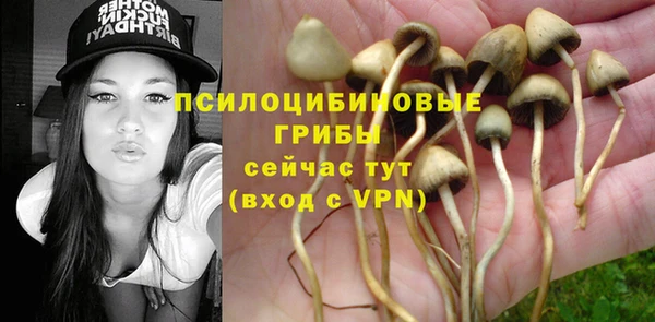 героин Алзамай